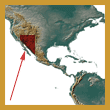 range of species Gopherus agassizii